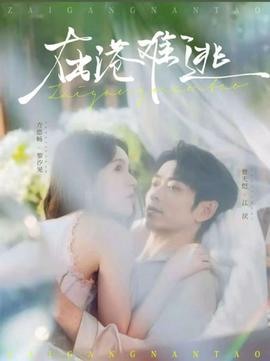 在港难逃(全集)