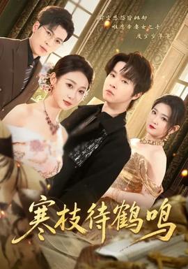 寒枝待鹤鸣(全集)